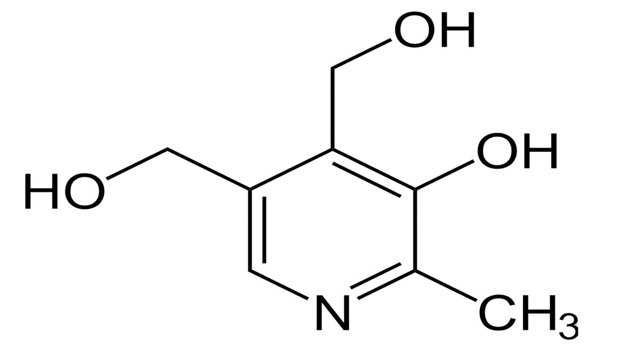 Vitamin B6 in Blutforde